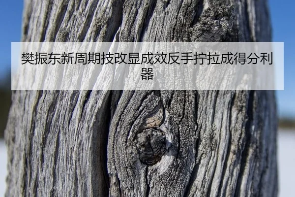 樊振东新周期技改显成效反手拧拉成得分利器