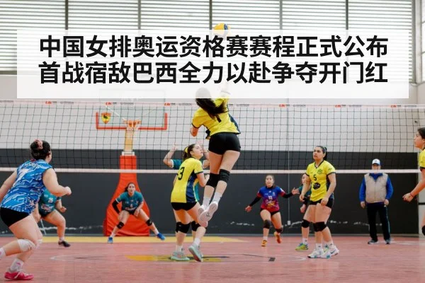 中国女排奥运资格赛赛程正式公布首战宿敌巴西全力以赴争夺开门红