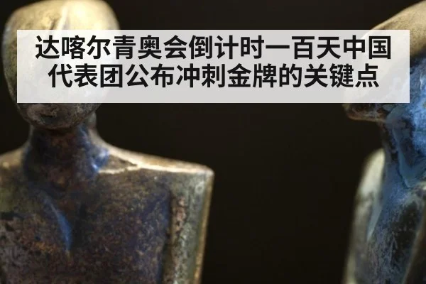 达喀尔青奥会倒计时一百天中国代表团公布冲刺金牌的关键点
